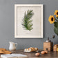 Palm Botanical II - Barnwood Framed Canvas Print