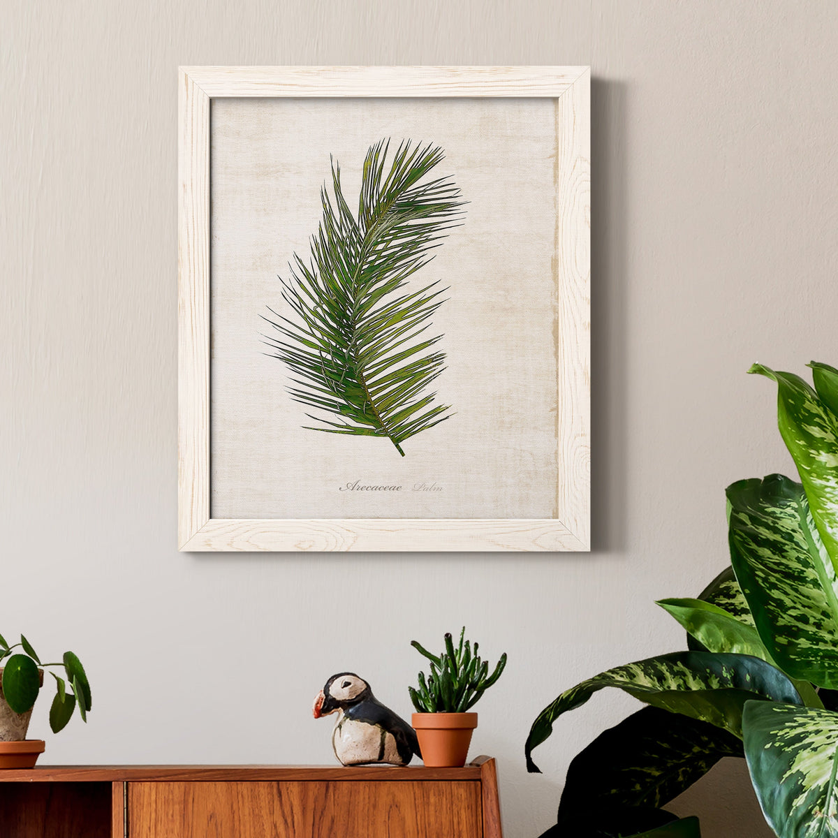 Palm Botanical II - Barnwood Framed Canvas Print