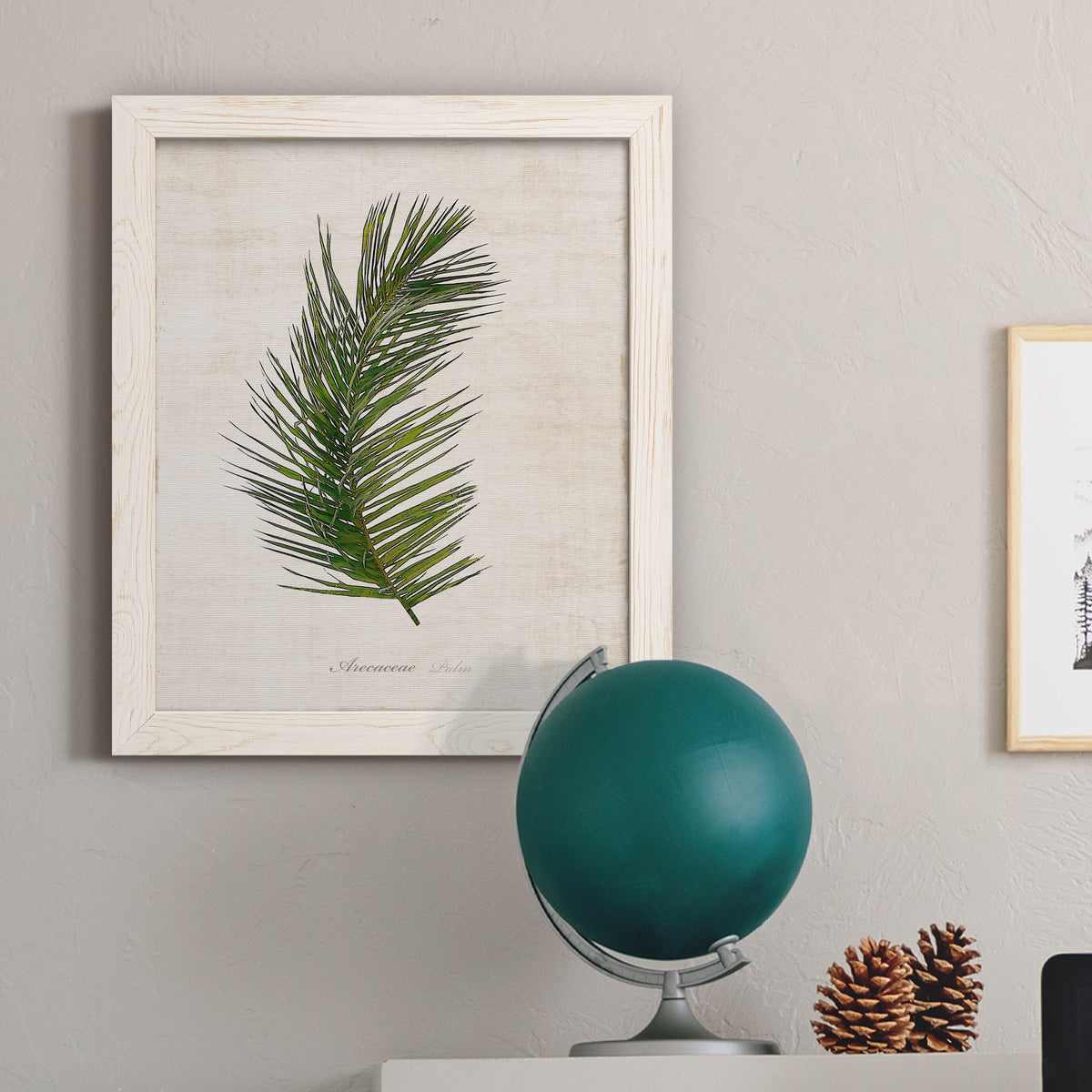 Palm Botanical II - Barnwood Framed Canvas Print
