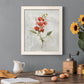 Linen Sweet Pea - Barnwood Framed Canvas Print
