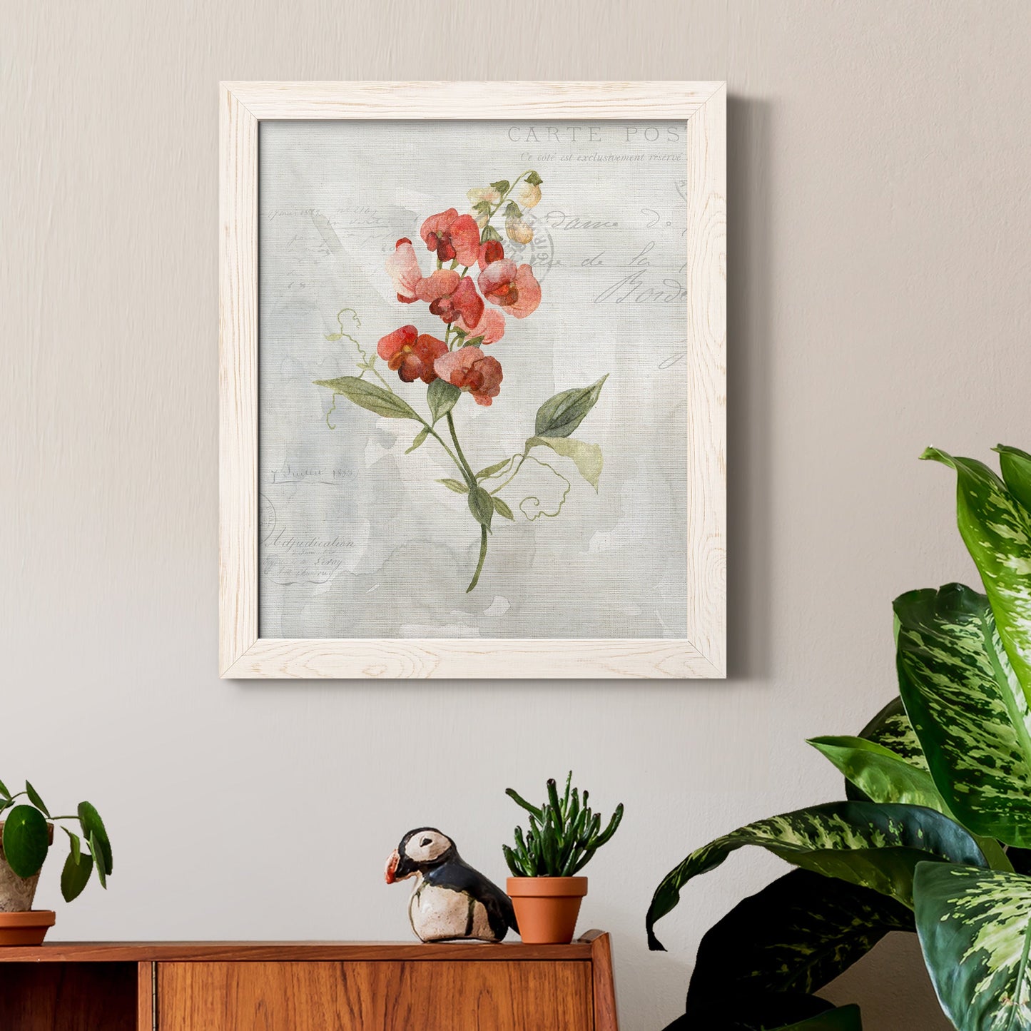 Linen Sweet Pea - Barnwood Framed Canvas Print