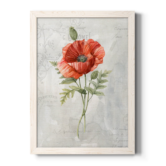 Linen Poppy - Barnwood Framed Canvas Print