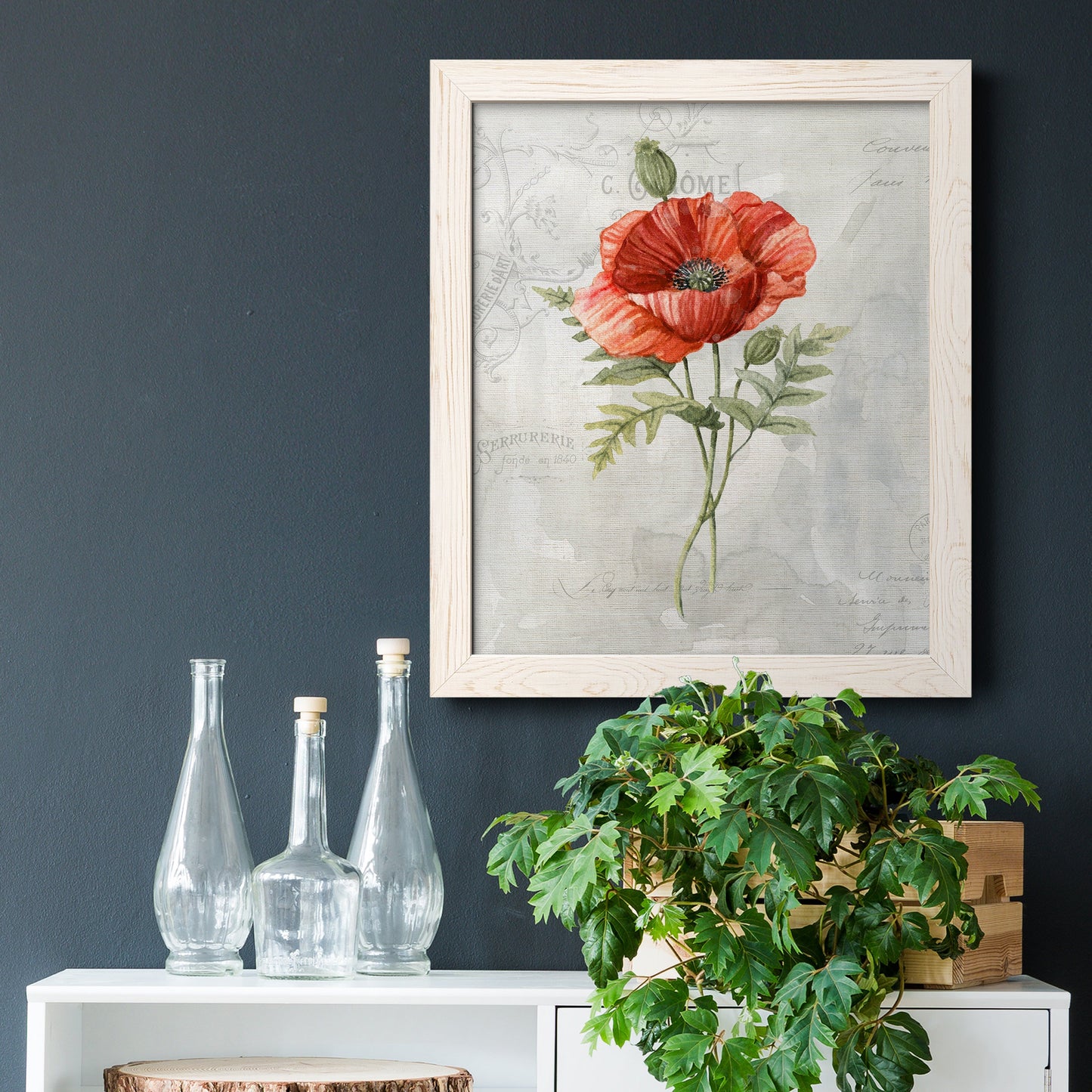 Linen Poppy - Barnwood Framed Canvas Print