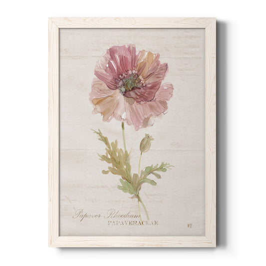Soft Poppy - Barnwood Framed Canvas Print