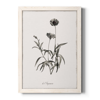 Sketchbook Imperial - Barnwood Framed Canvas Print