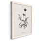 Sketchbook Imperial - Barnwood Framed Canvas Print