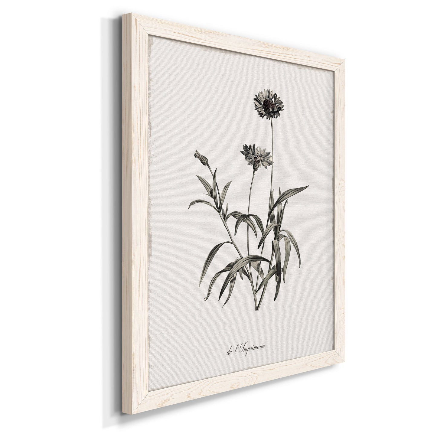 Sketchbook Imperial - Barnwood Framed Canvas Print