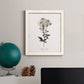 Sketchbook Leadwort - Barnwood Framed Canvas Print