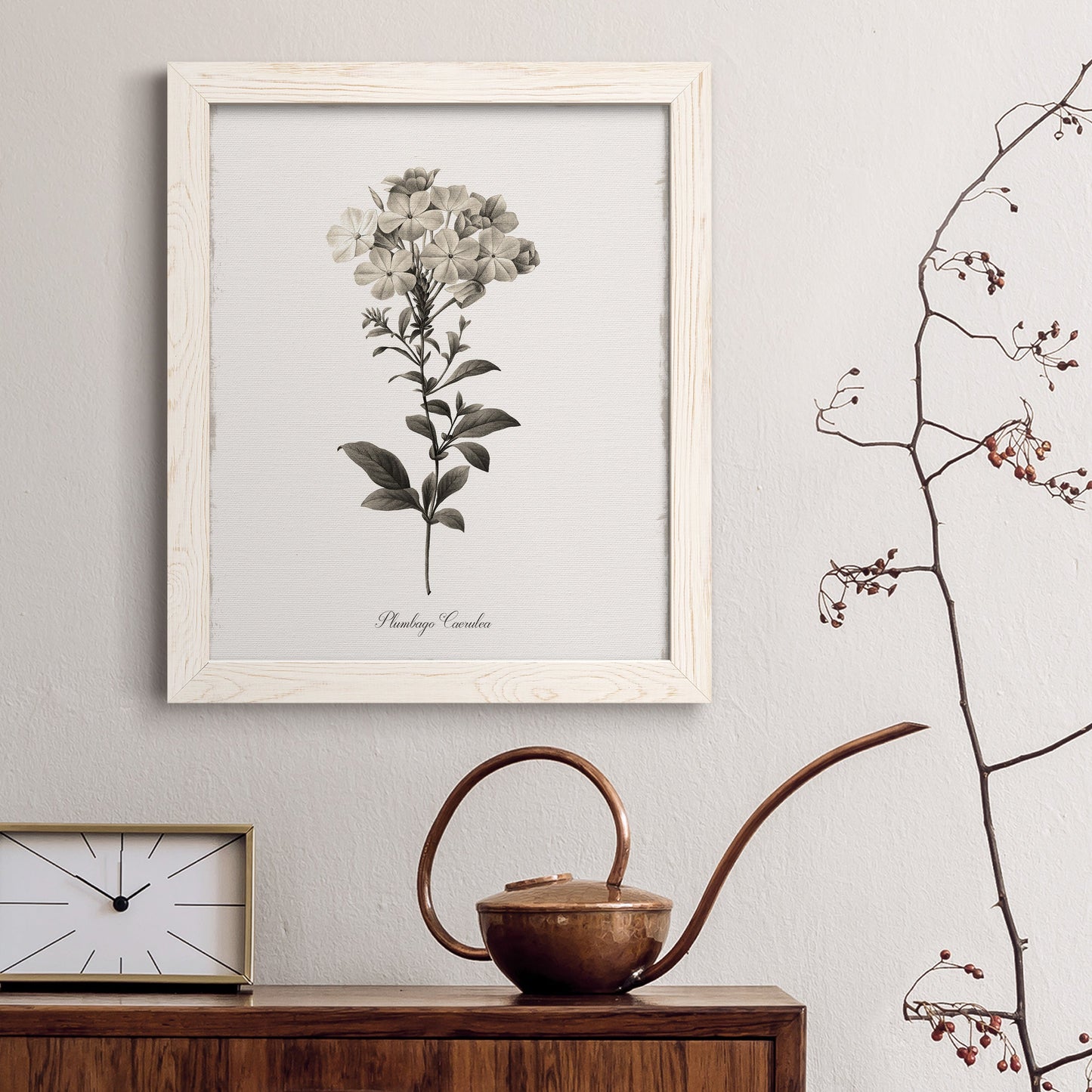 Sketchbook Leadwort - Barnwood Framed Canvas Print