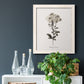 Sketchbook Leadwort - Barnwood Framed Canvas Print