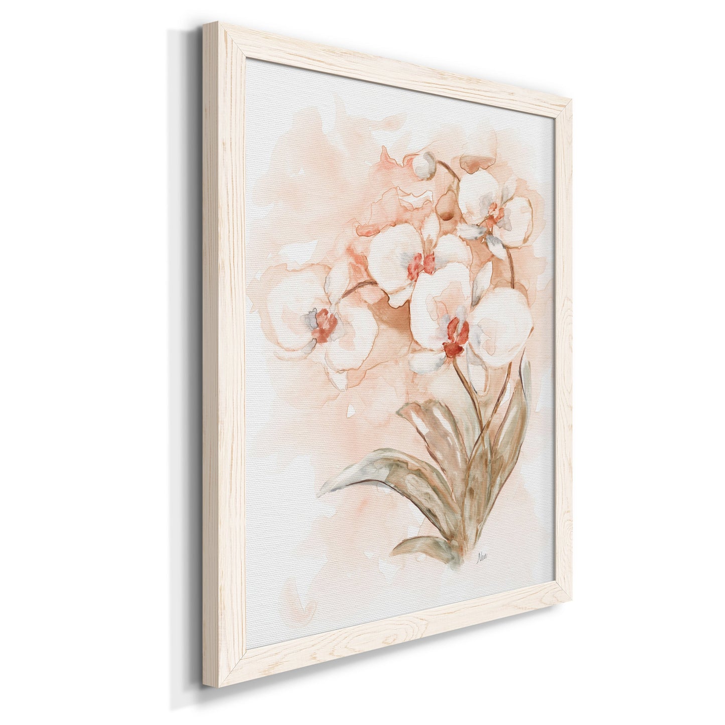 White and Coral Orchid II - Barnwood Framed Canvas Print