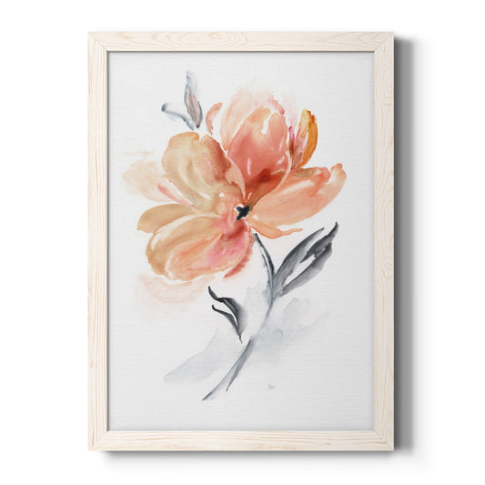 Soft Sensation II - Barnwood Framed Canvas Print