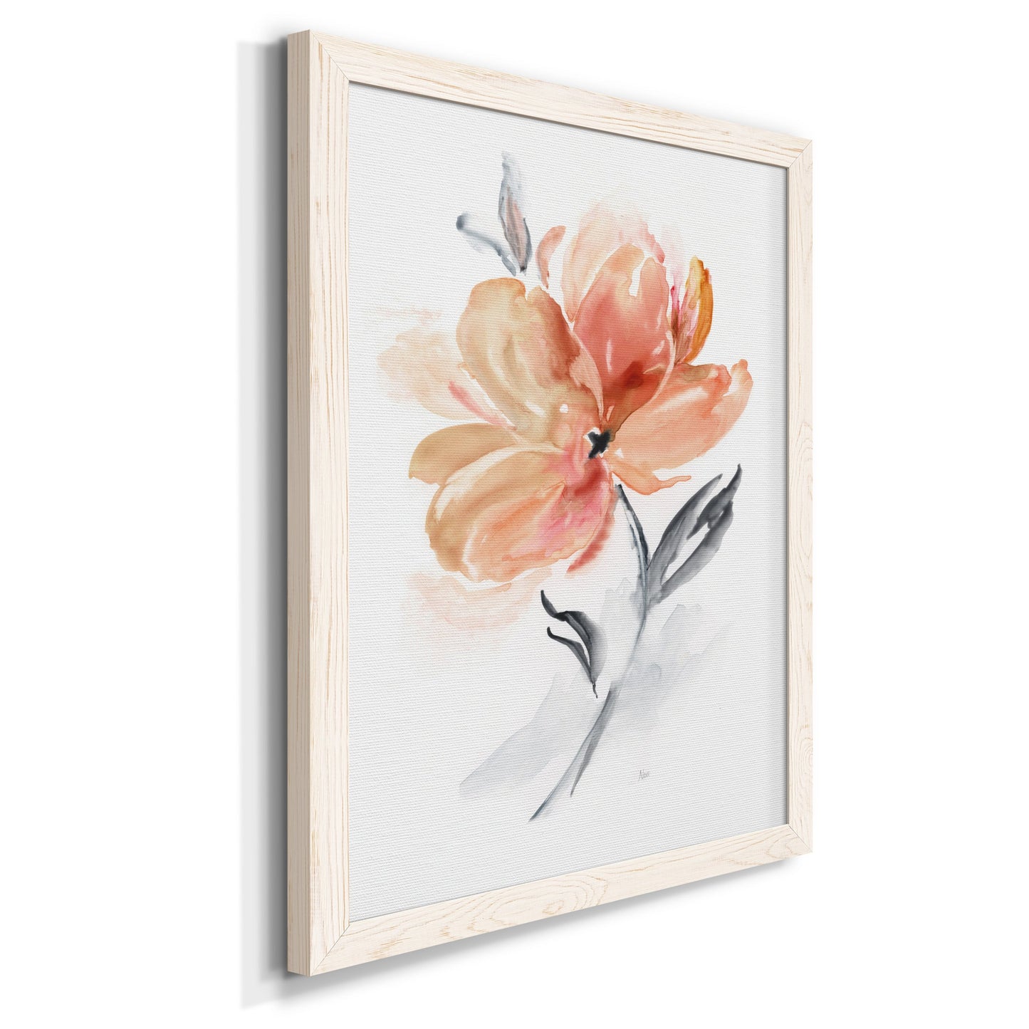 Soft Sensation II - Barnwood Framed Canvas Print
