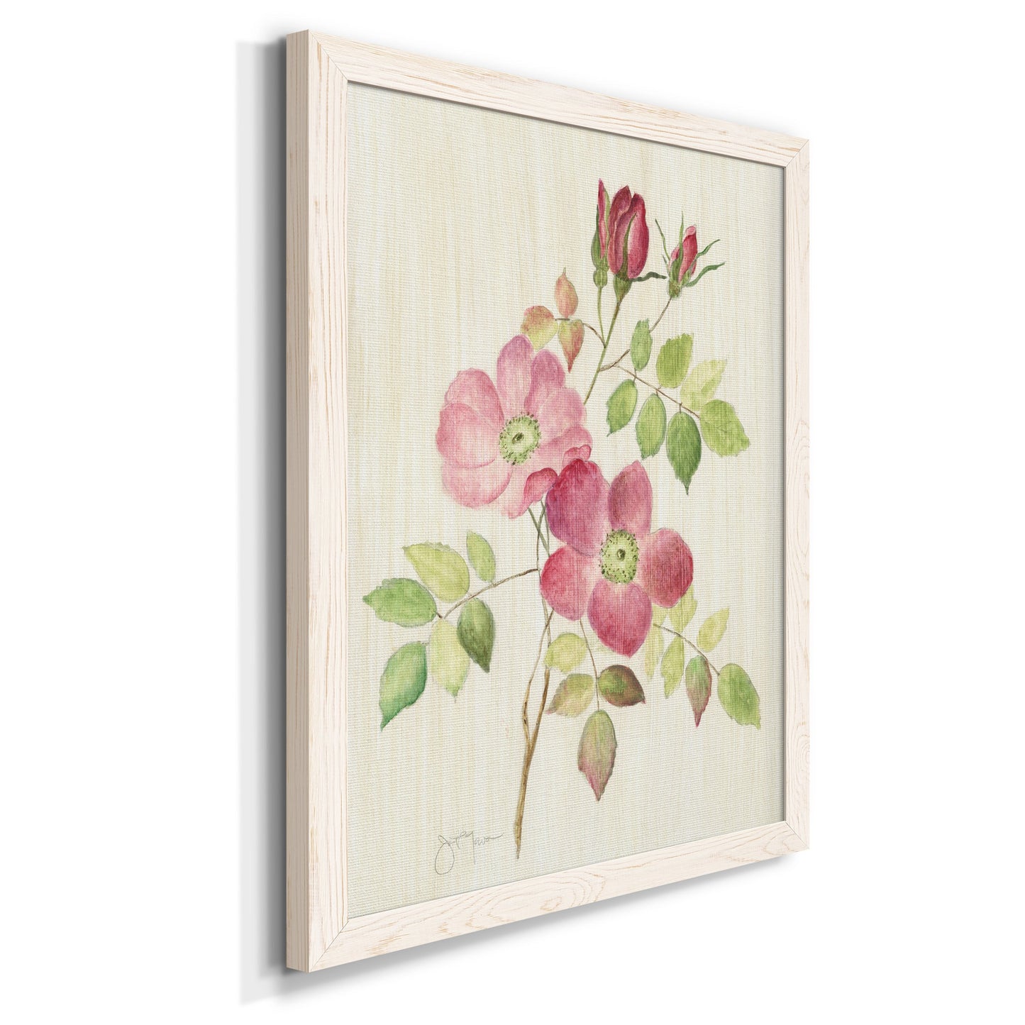 Dusty Rose I - Barnwood Framed Canvas Print