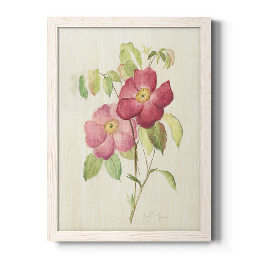 Dusty Rose II - Barnwood Framed Canvas Print
