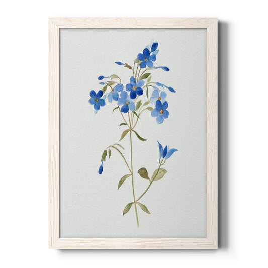 Blue Blossom Botanical II - Barnwood Framed Canvas Print