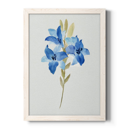 Blue Blossom Botanical III - Barnwood Framed Canvas Print