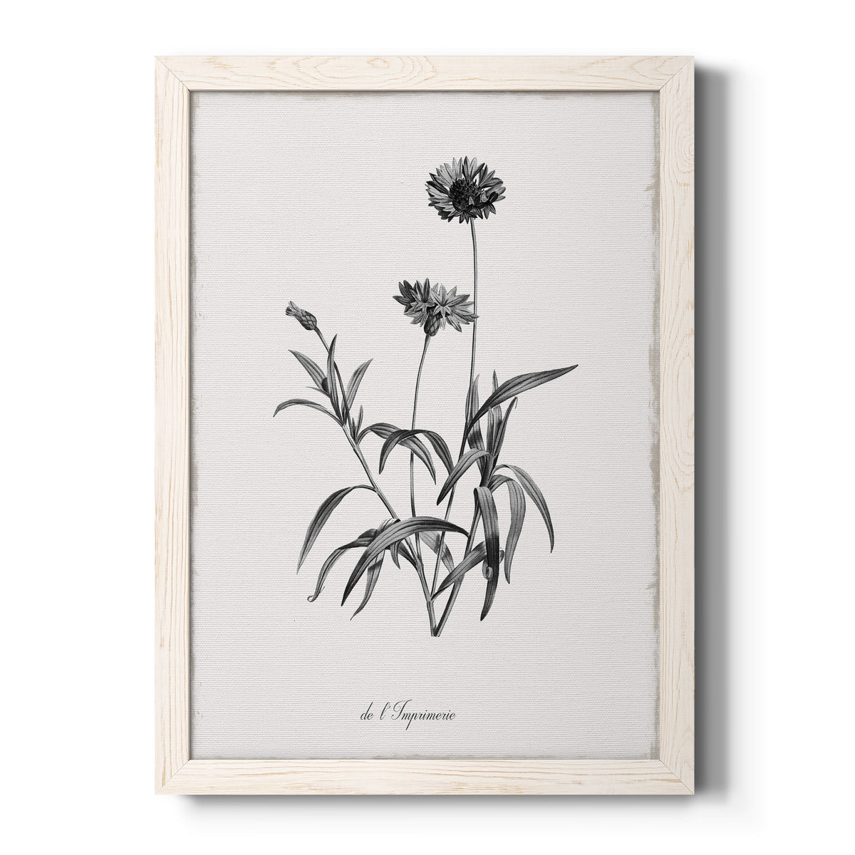 Simply Imperial - Barnwood Framed Canvas Print