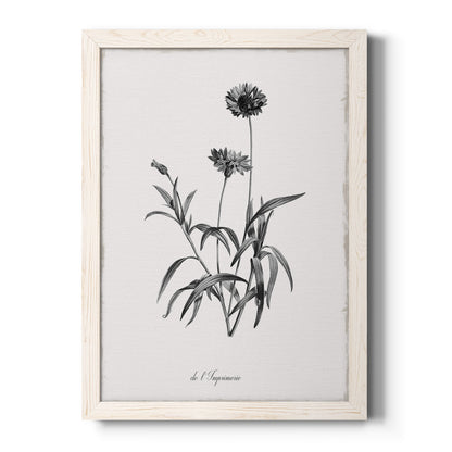 Simply Imperial - Barnwood Framed Canvas Print