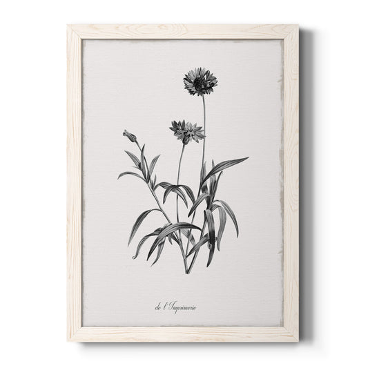 Simply Imperial - Barnwood Framed Canvas Print
