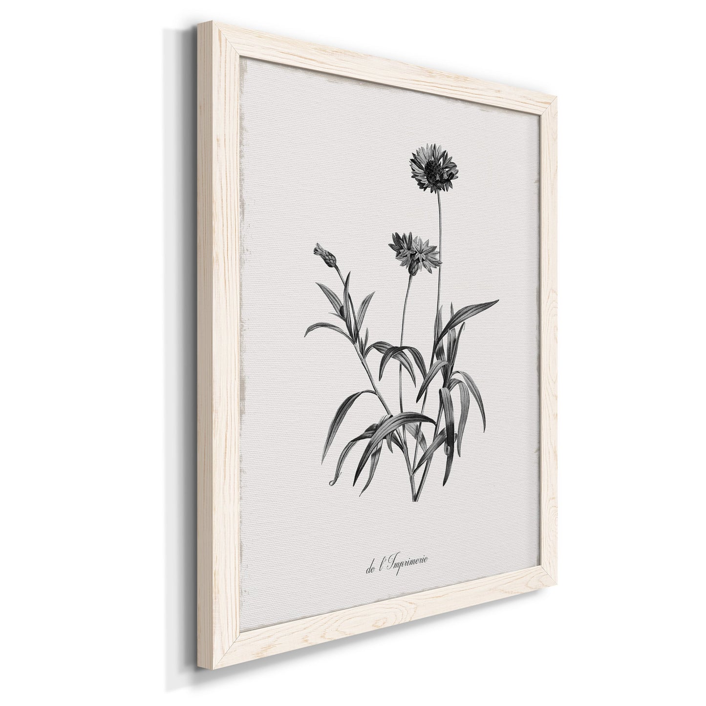 Simply Imperial - Barnwood Framed Canvas Print