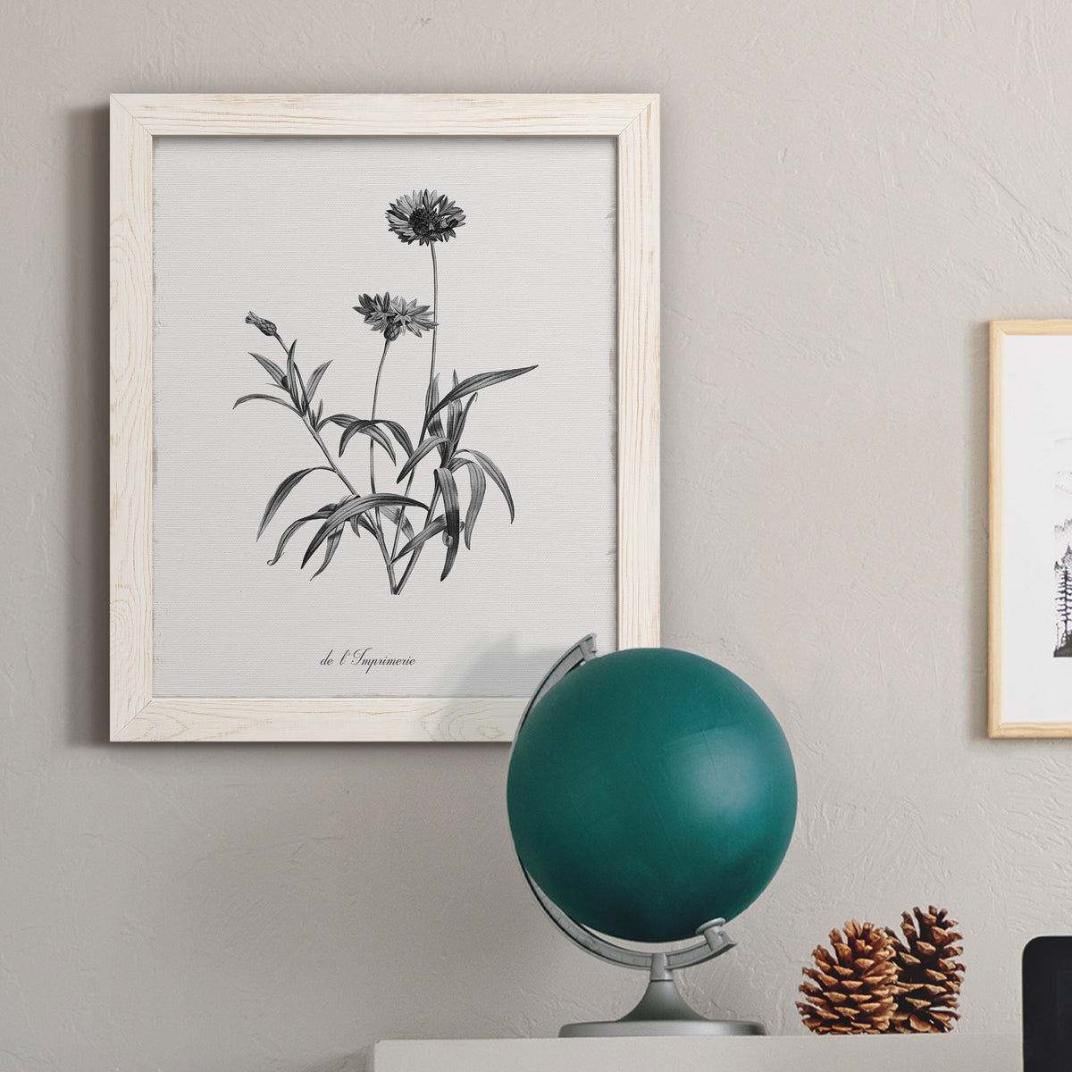 Simply Imperial - Barnwood Framed Canvas Print