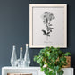 Simply Cape Leadwort - Barnwood Framed Canvas Print