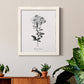Simply Cape Leadwort - Barnwood Framed Canvas Print