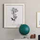 Simply Cape Leadwort - Barnwood Framed Canvas Print