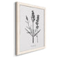 Simply Lavender - Barnwood Framed Canvas Print