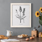 Simply Lavender - Barnwood Framed Canvas Print
