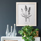 Simply Lavender - Barnwood Framed Canvas Print