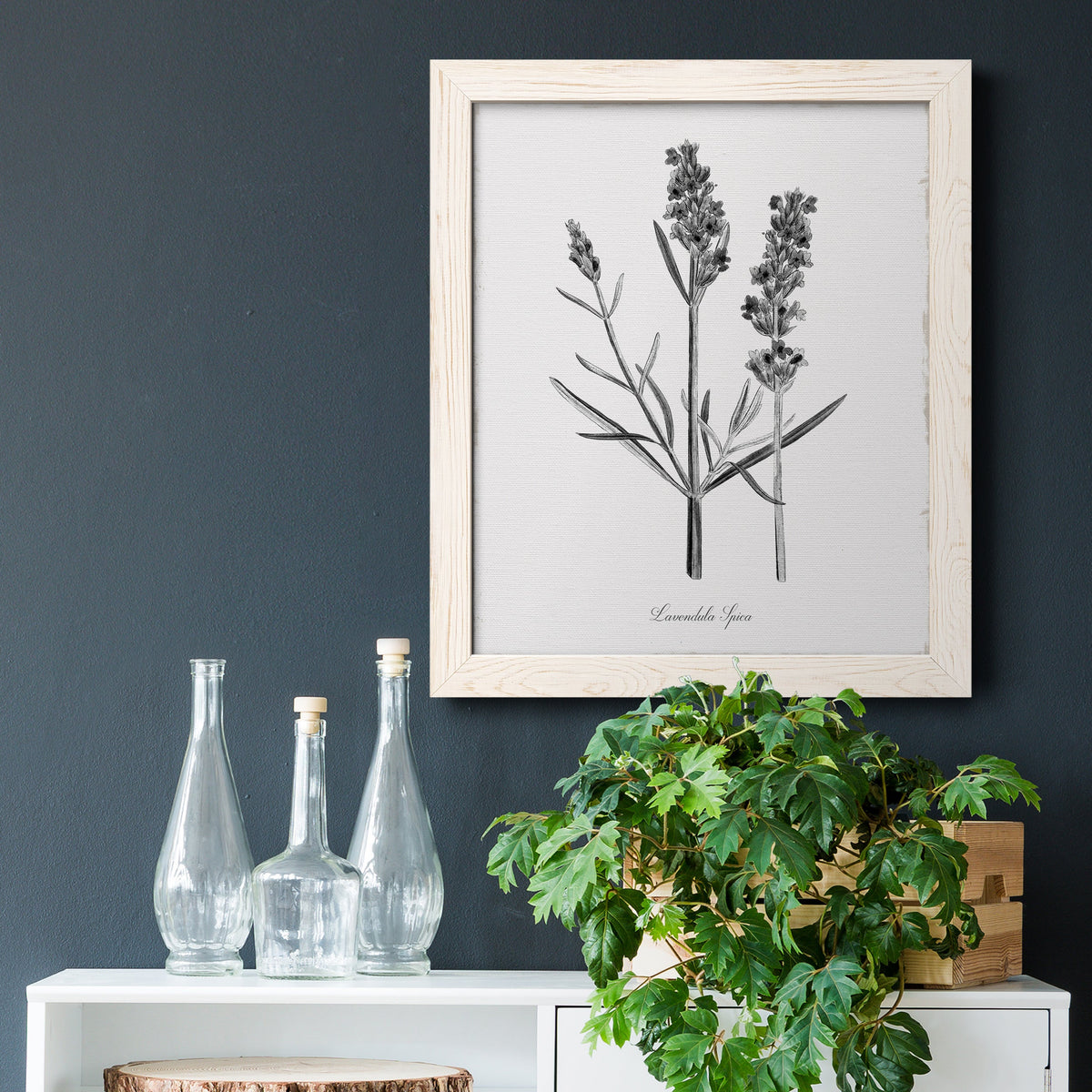 Simply Lavender - Barnwood Framed Canvas Print