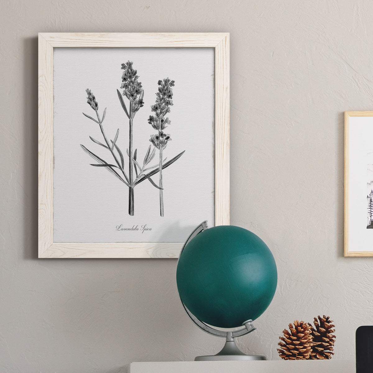 Simply Lavender - Barnwood Framed Canvas Print