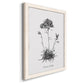 Simply Caladrinia - Barnwood Framed Canvas Print