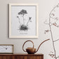 Simply Caladrinia - Barnwood Framed Canvas Print
