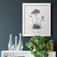 Simply Caladrinia - Barnwood Framed Canvas Print