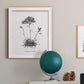 Simply Caladrinia - Barnwood Framed Canvas Print