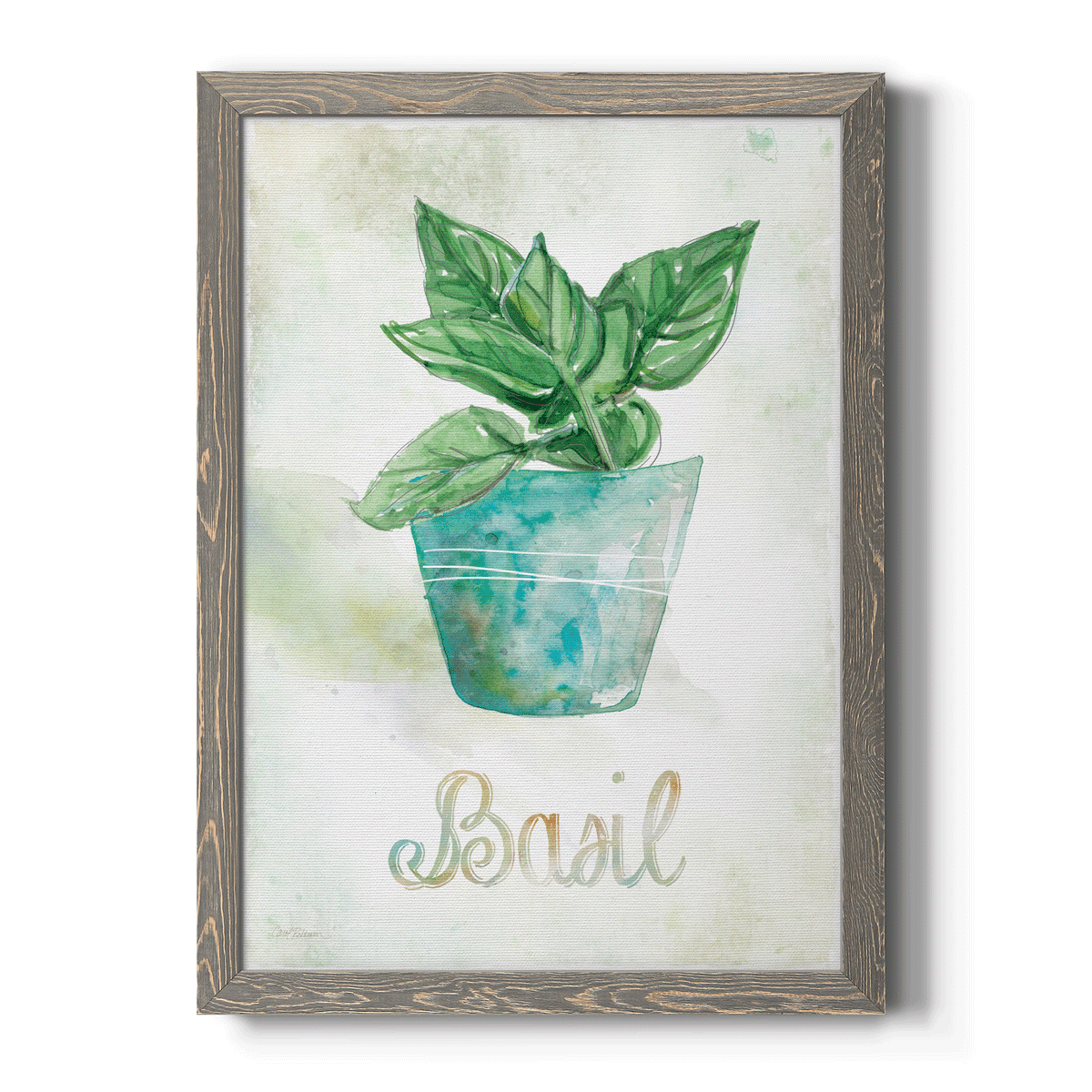 Potted Basil - Barnwood Framed Canvas Print