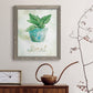 Potted Basil - Barnwood Framed Canvas Print