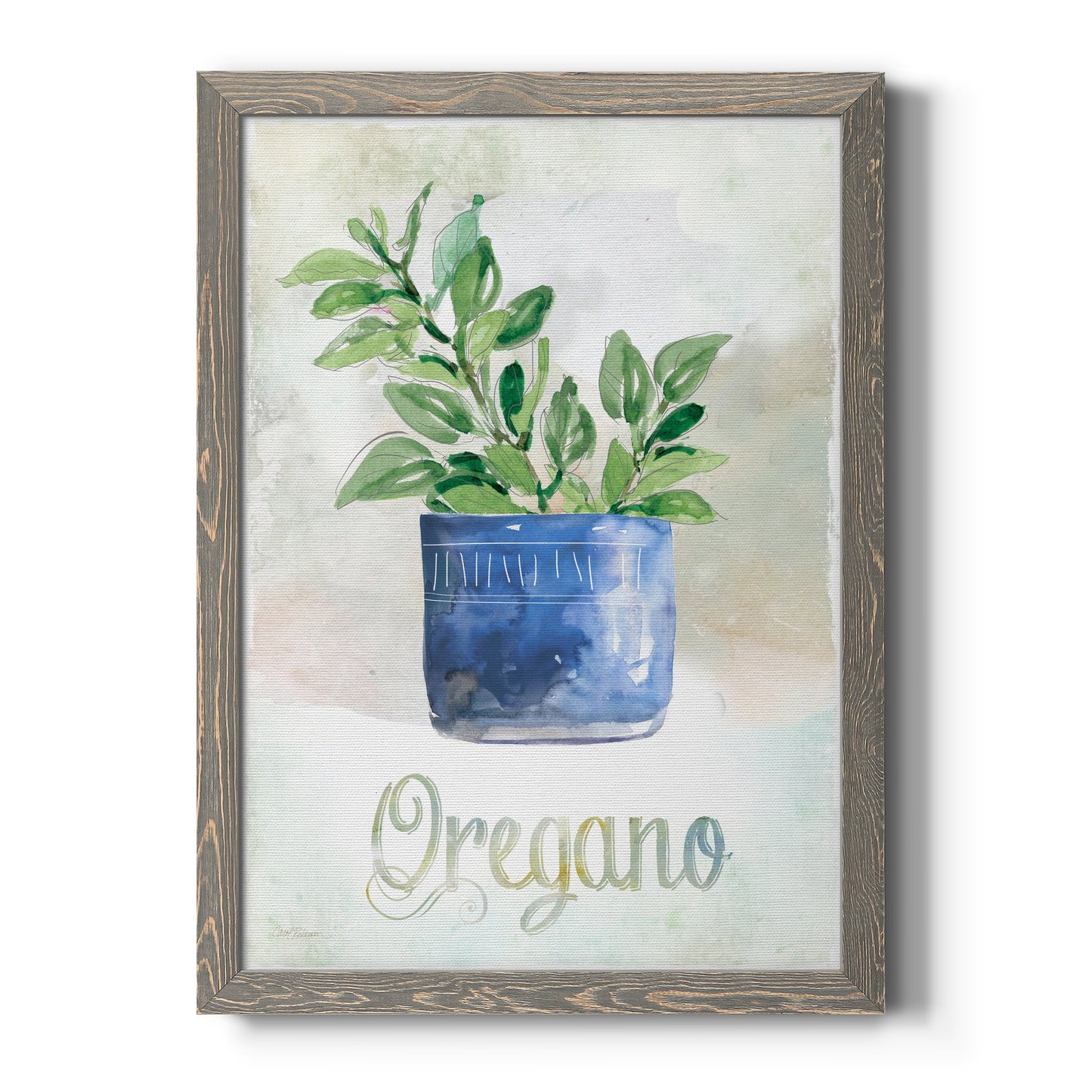 Potted Oregano - Barnwood Framed Canvas Print