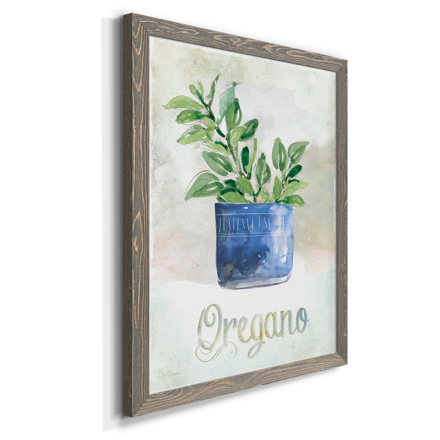 Potted Oregano - Barnwood Framed Canvas Print