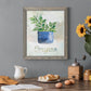 Potted Oregano - Barnwood Framed Canvas Print