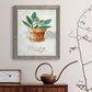Potted Sage - Barnwood Framed Canvas Print