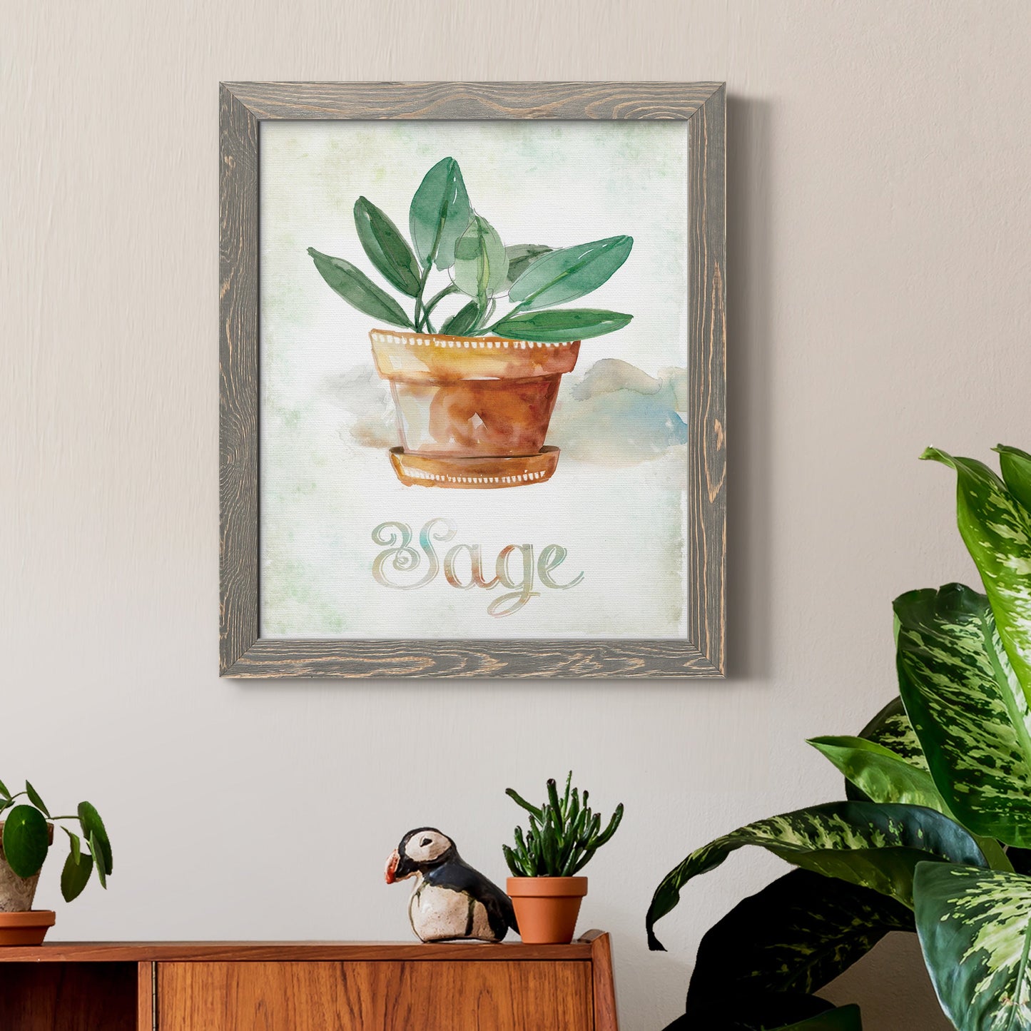 Potted Sage - Barnwood Framed Canvas Print