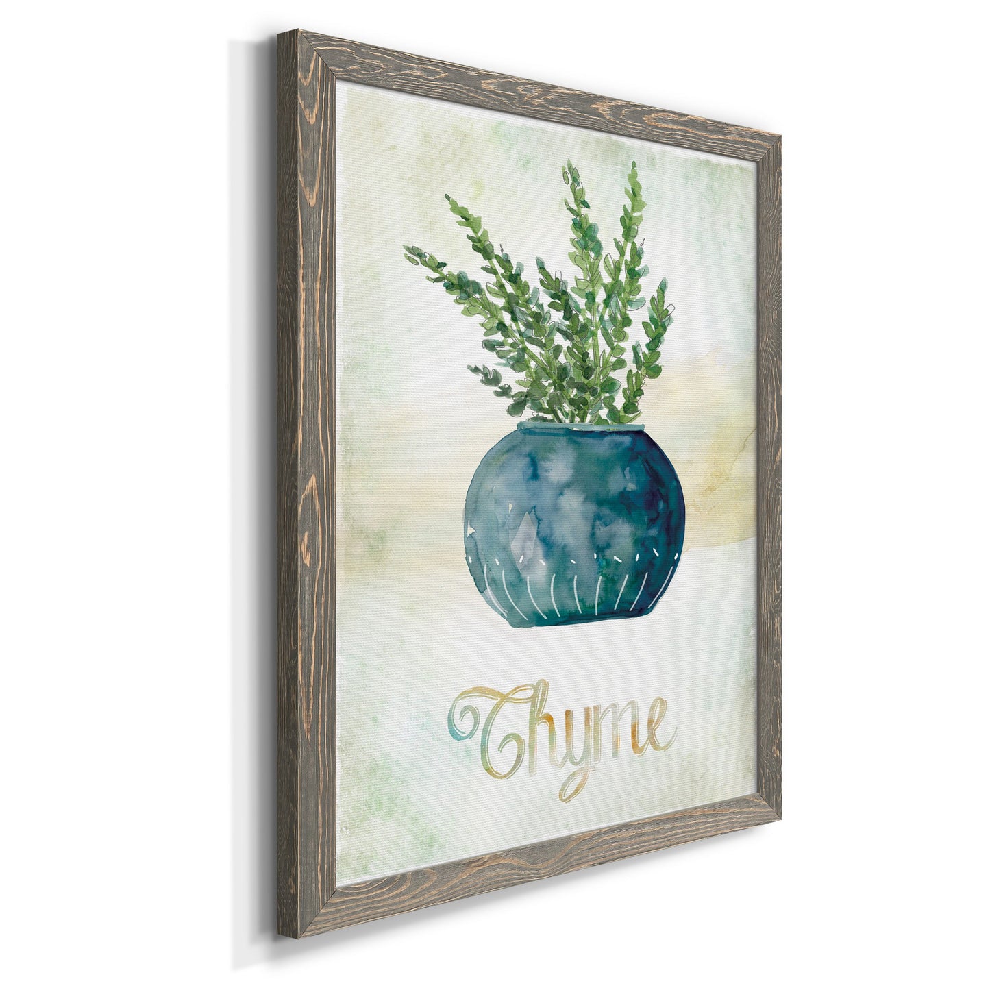 Potted Thyme - Barnwood Framed Canvas Print