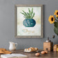 Potted Thyme - Barnwood Framed Canvas Print