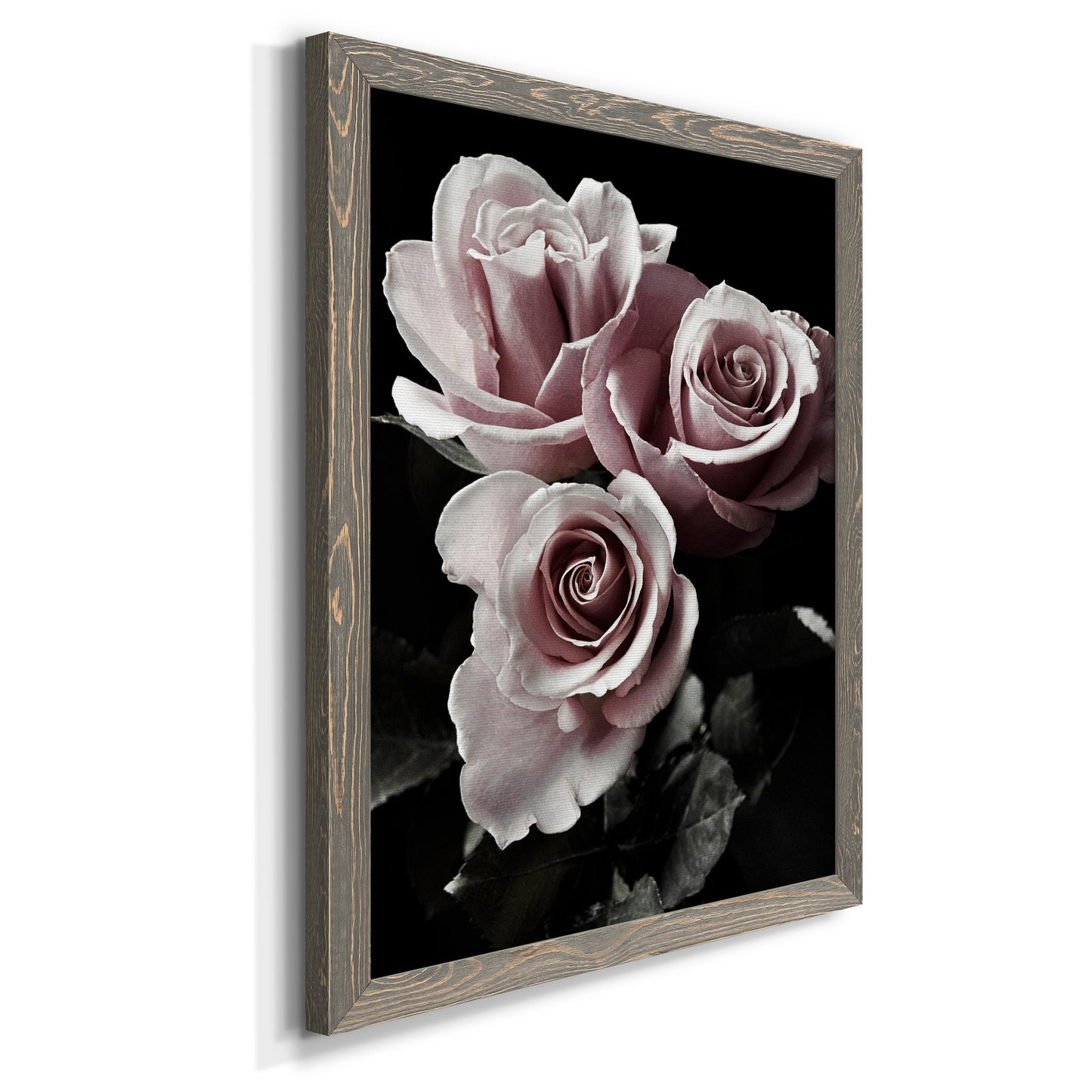 Rose Noir I - Barnwood Framed Canvas Print