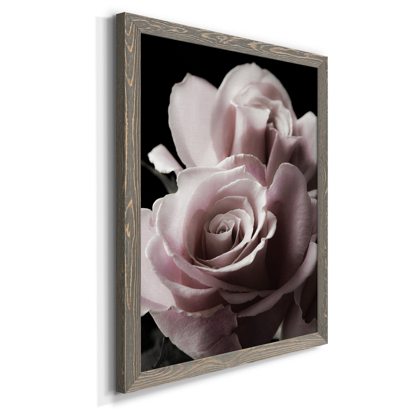 Rose Noir II - Barnwood Framed Canvas Print