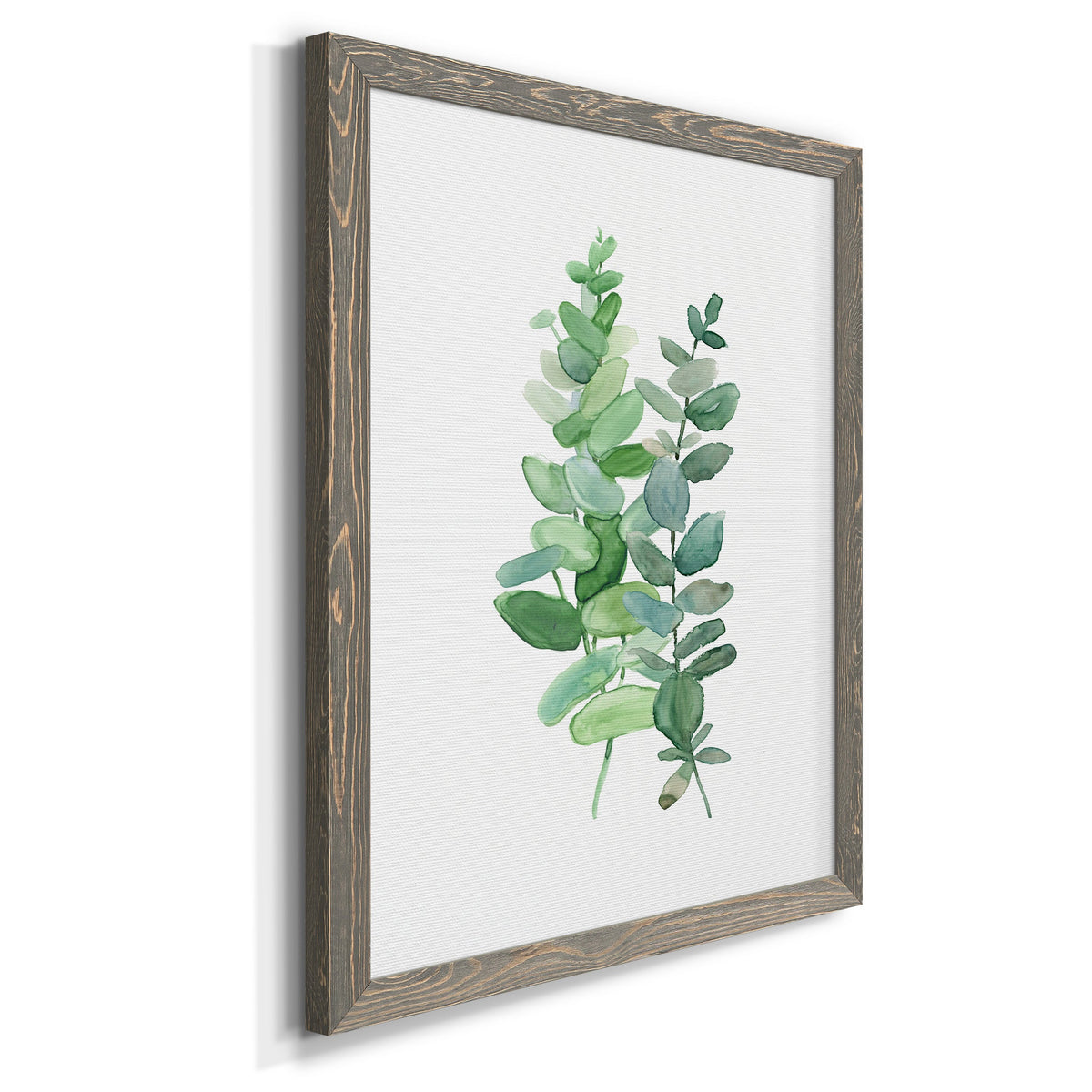 Eucalyptus II - Barnwood Framed Canvas Print
